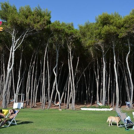 Bau Bau Beach Village Foce del Sele Esterno foto